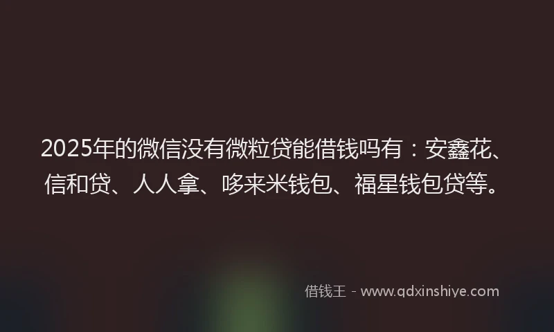 2025年的微信没有微粒贷能借钱吗有：安鑫花、信和贷、人人拿、哆来米钱包、福星钱包贷等。