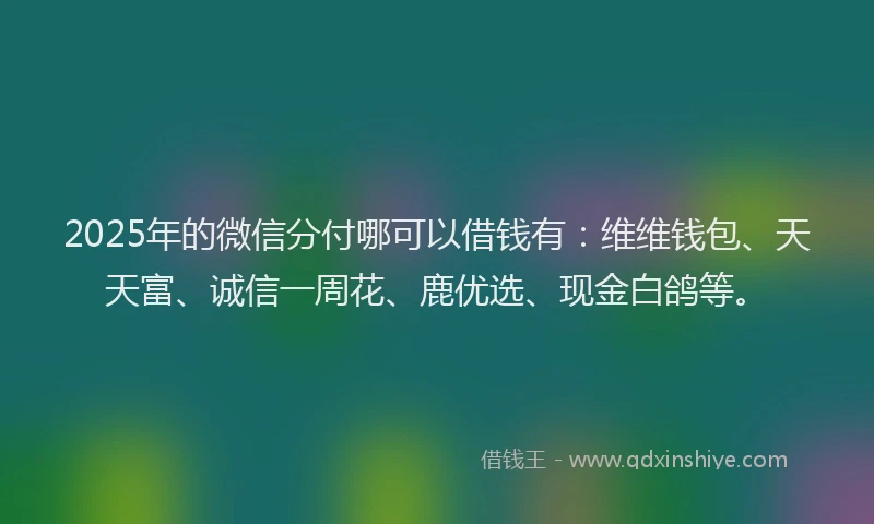 2025年的微信分付哪可以借钱有：维维钱包、天天富、诚信一周花、鹿优选、现金白鸽等。