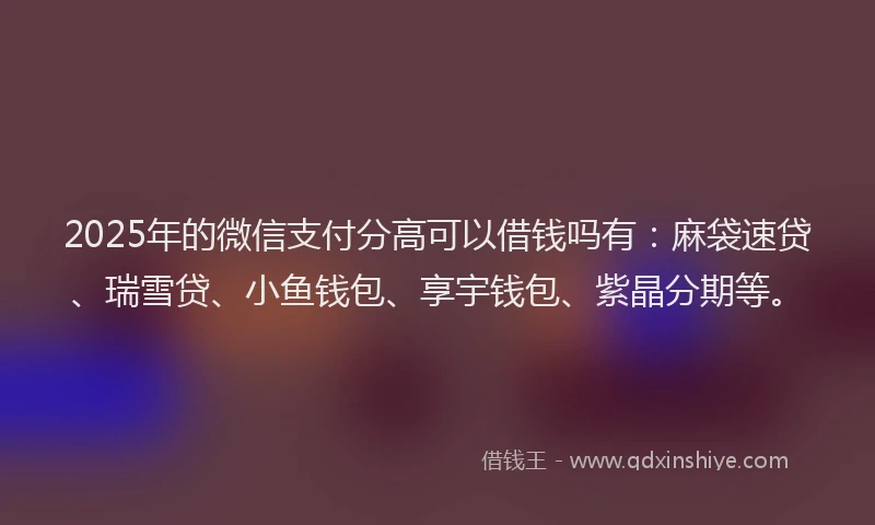 2025年的微信支付分高可以借钱吗有：麻袋速贷、瑞雪贷、小鱼钱包、享宇钱包、紫晶分期等。