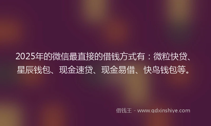 2025年的微信最直接的借钱方式有：微粒快贷、星辰钱包、现金速贷、现金易借、快鸟钱包等。