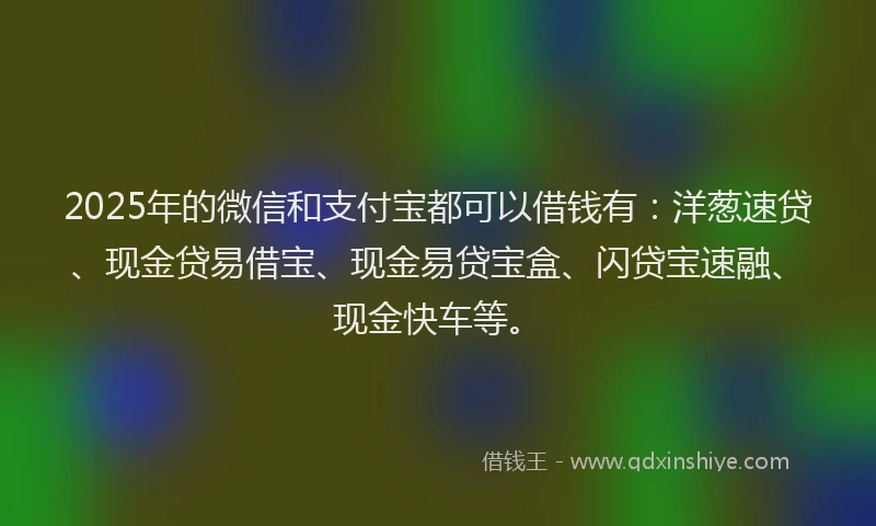2025年的微信和支付宝都可以借钱有：洋葱速贷、现金贷易借宝、现金易贷宝盒、闪贷宝速融、现金快车等。