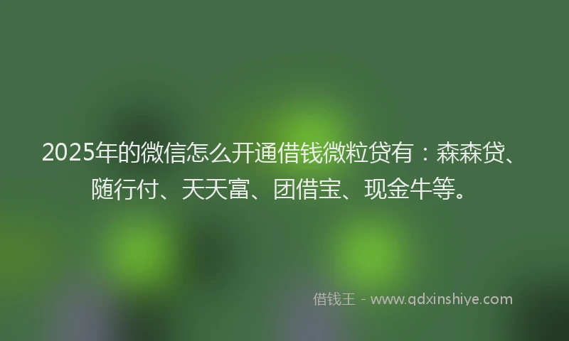2025年的微信怎么开通借钱微粒贷有：森森贷、随行付、天天富、团借宝、现金牛等。