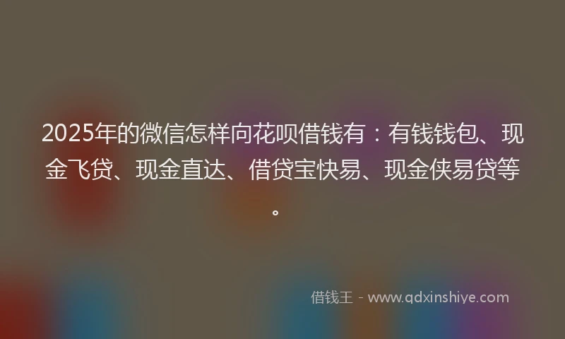 2025年的微信怎样向花呗借钱有：有钱钱包、现金飞贷、现金直达、借贷宝快易、现金侠易贷等。