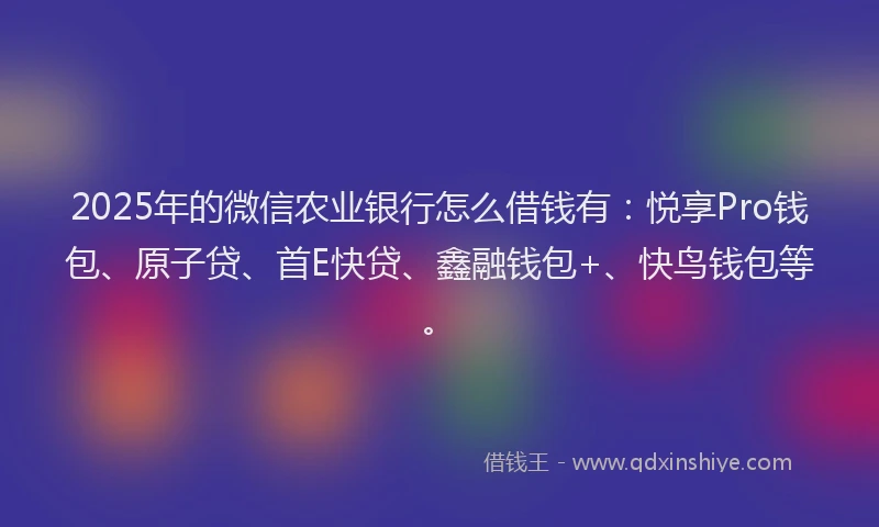 2025年的微信农业银行怎么借钱有：悦享Pro钱包、原子贷、首E快贷、鑫融钱包+、快鸟钱包等。
