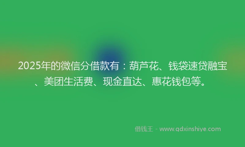 2025年的微信分借款有：葫芦花、钱袋速贷融宝、美团生活费、现金直达、惠花钱包等。