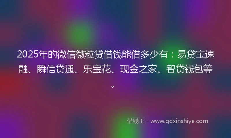 2025年的微信微粒贷借钱能借多少有：易贷宝速融、瞬信贷通、乐宝花、现金之家、智贷钱包等。