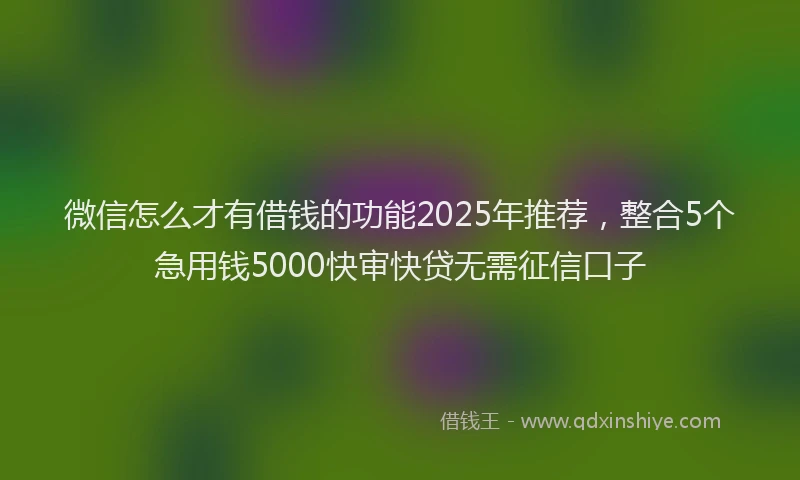 微信怎么才有借钱的功能2025年推荐，整合5个急用钱5000快审快贷无需征信口子