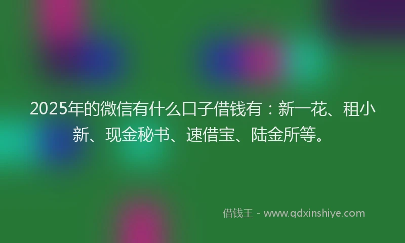 2025年的微信有什么口子借钱有：新一花、租小新、现金秘书、速借宝、陆金所等。