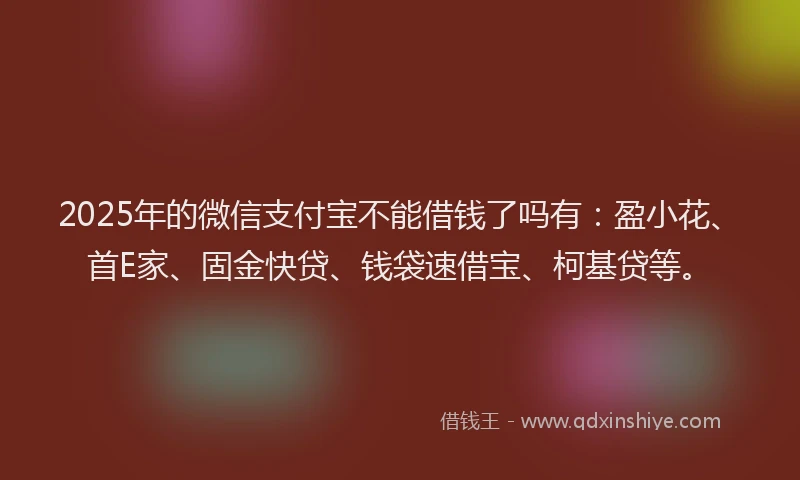 2025年的微信支付宝不能借钱了吗有：盈小花、首E家、固金快贷、钱袋速借宝、柯基贷等。