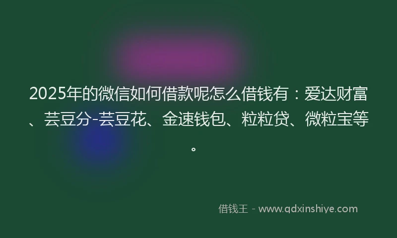 2025年的微信如何借款呢怎么借钱有：爱达财富、芸豆分-芸豆花、金速钱包、粒粒贷、微粒宝等。