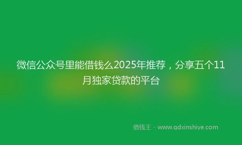 微信公众号里能借钱么2025年推荐，分享五个11月独家贷款的平台