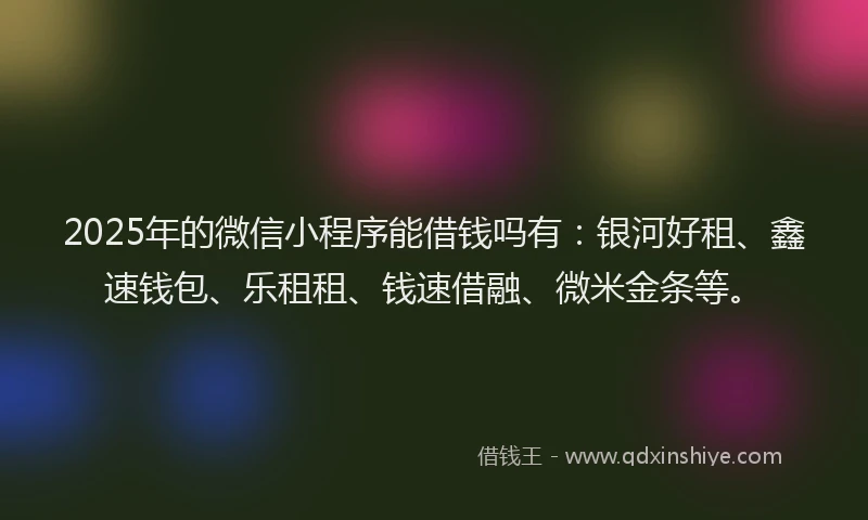2025年的微信小程序能借钱吗有：银河好租、鑫速钱包、乐租租、钱速借融、微米金条等。