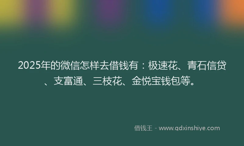 2025年的微信怎样去借钱有：极速花、青石信贷、支富通、三枝花、金悦宝钱包等。