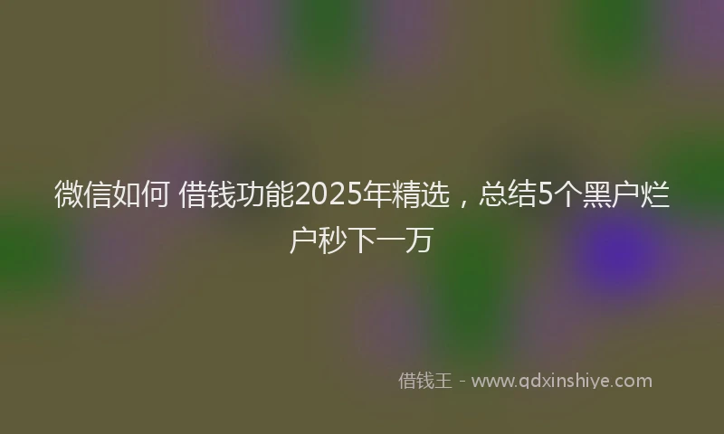 微信如何 借钱功能2025年精选，总结5个黑户烂户秒下一万