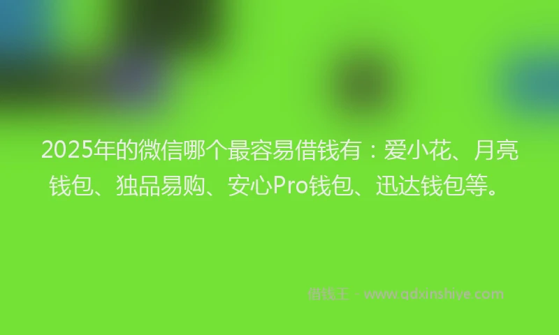 2025年的微信哪个最容易借钱有：爱小花、月亮钱包、独品易购、安心Pro钱包、迅达钱包等。