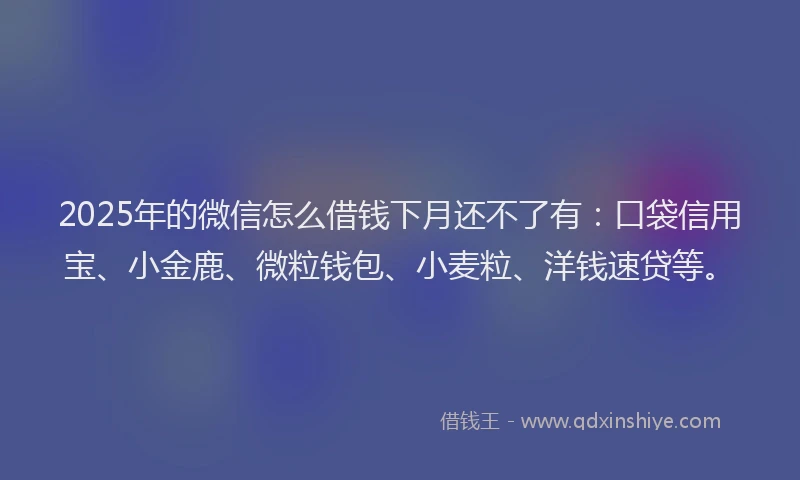 2025年的微信怎么借钱下月还不了有：口袋信用宝、小金鹿、微粒钱包、小麦粒、洋钱速贷等。