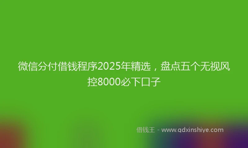微信分付借钱程序2025年精选，盘点五个无视风控8000必下口子