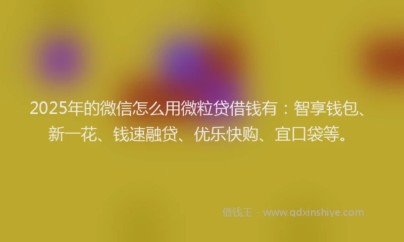 2025年的微信怎么用微粒贷借钱有：智享钱包、新一花、钱速融贷、优乐快购、宜口袋等。