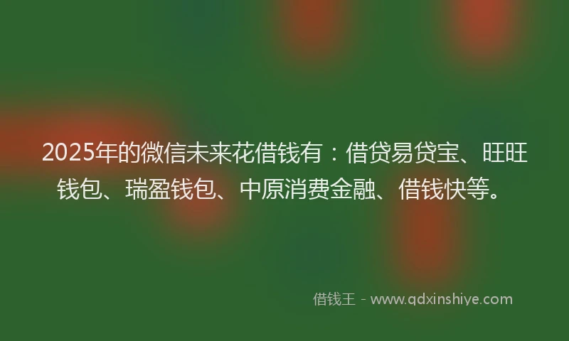 2025年的微信未来花借钱有：借贷易贷宝、旺旺钱包、瑞盈钱包、中原消费金融、借钱快等。
