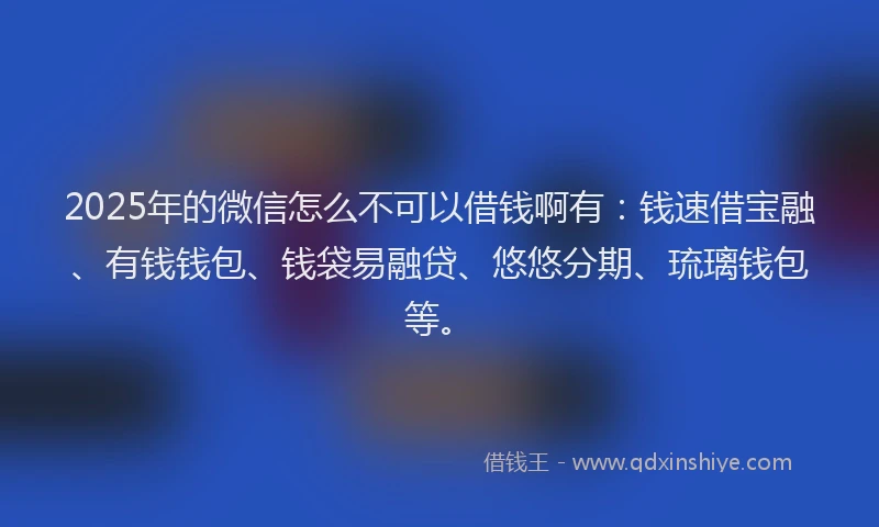 2025年的微信怎么不可以借钱啊有：钱速借宝融、有钱钱包、钱袋易融贷、悠悠分期、琉璃钱包等。