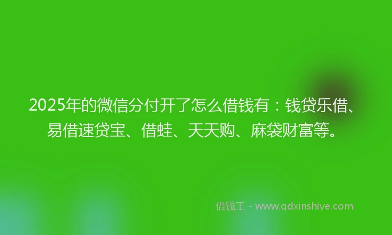 2025年的微信分付开了怎么借钱有：钱贷乐借、易借速贷宝、借蛙、天天购、麻袋财富等。