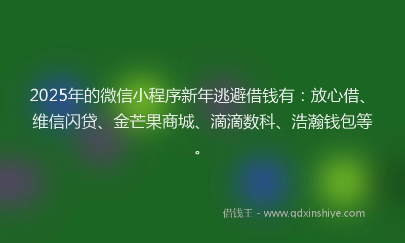 2025年的微信小程序新年逃避借钱有：放心借、维信闪贷、金芒果商城、滴滴数科、浩瀚钱包等。