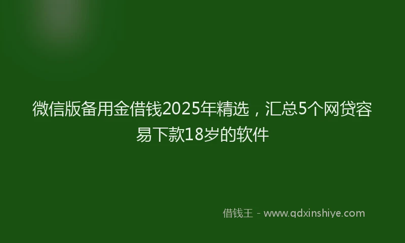 微信版备用金借钱2025年精选，汇总5个网贷容易下款18岁的软件