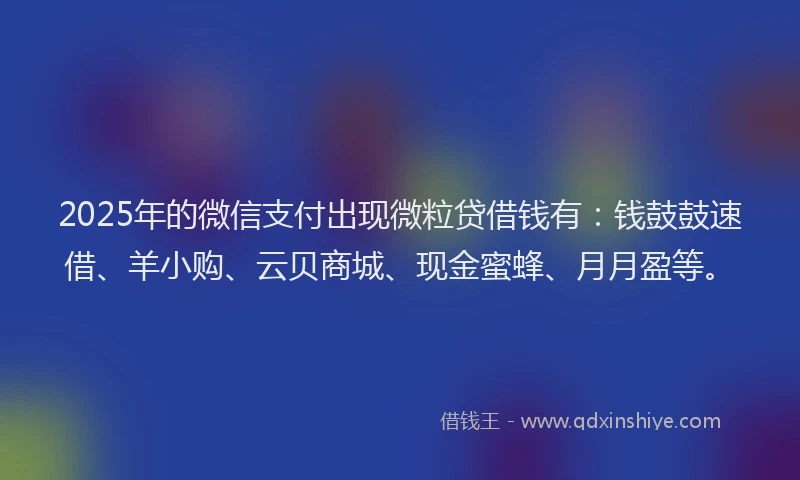 2025年的微信支付出现微粒贷借钱有：钱鼓鼓速借、羊小购、云贝商城、现金蜜蜂、月月盈等。
