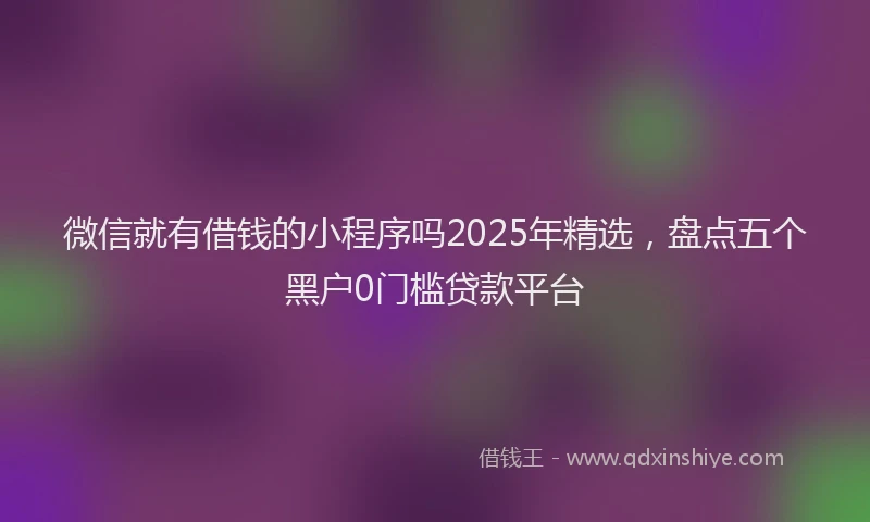 微信就有借钱的小程序吗2025年精选，盘点五个黑户0门槛贷款平台