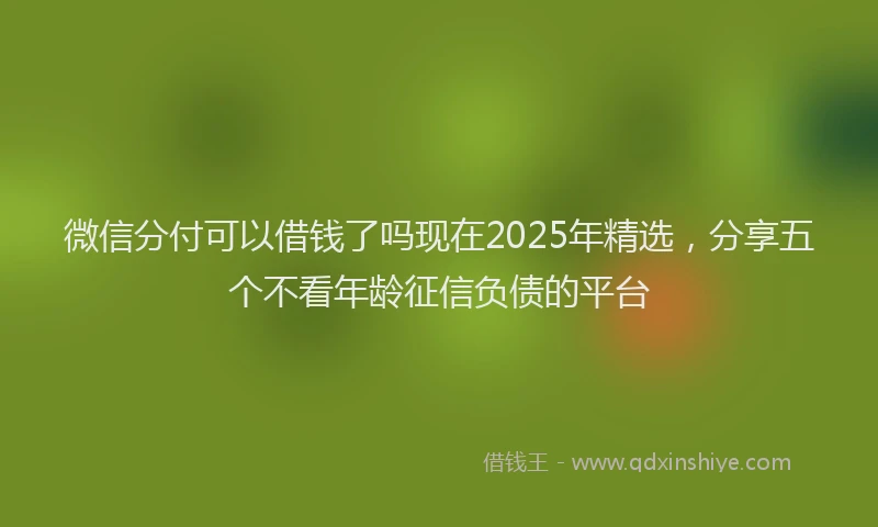 微信分付可以借钱了吗现在2025年精选，分享五个不看年龄征信负债的平台