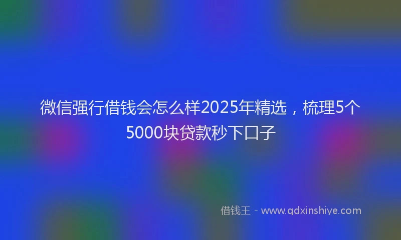微信强行借钱会怎么样2025年精选，梳理5个5000块贷款秒下口子