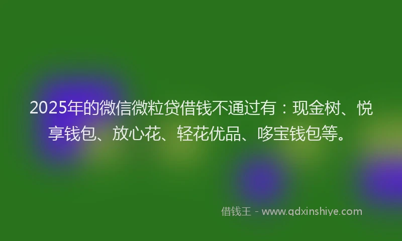 2025年的微信微粒贷借钱不通过有：现金树、悦享钱包、放心花、轻花优品、哆宝钱包等。