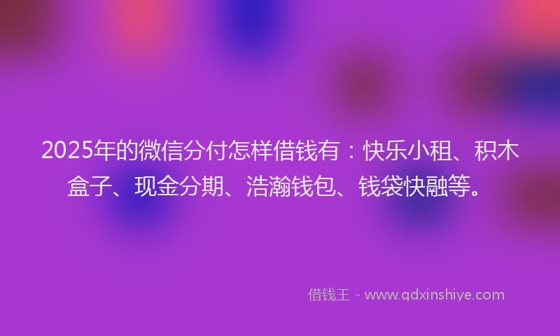 2025年的微信分付怎样借钱有：快乐小租、积木盒子、现金分期、浩瀚钱包、钱袋快融等。