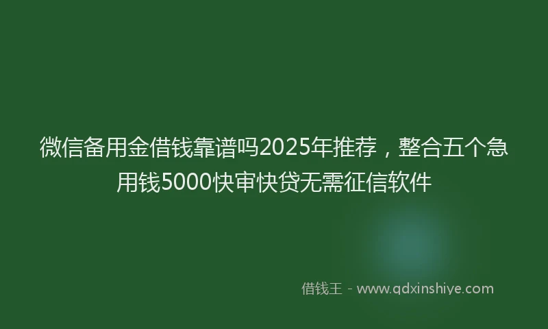微信备用金借钱靠谱吗2025年推荐，整合五个急用钱5000快审快贷无需征信软件