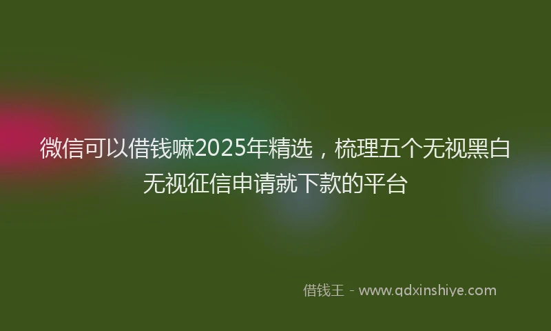 微信可以借钱嘛2025年精选，梳理五个无视黑白无视征信申请就下款的平台