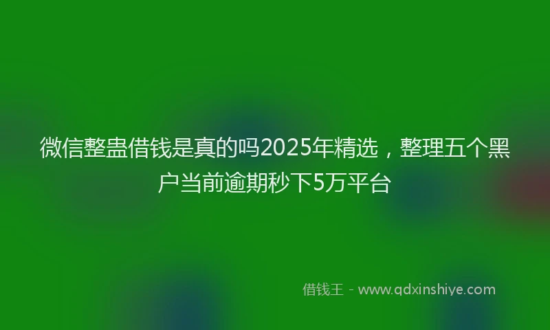 微信整蛊借钱是真的吗2025年精选，整理五个黑户当前逾期秒下5万平台