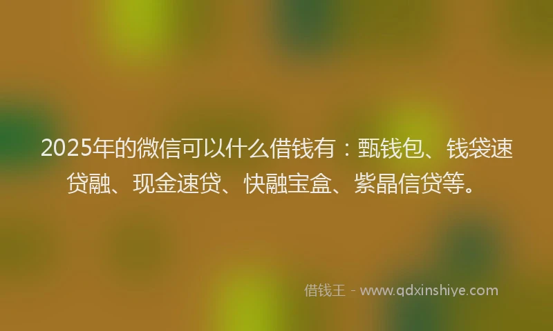 2025年的微信可以什么借钱有：甄钱包、钱袋速贷融、现金速贷、快融宝盒、紫晶信贷等。