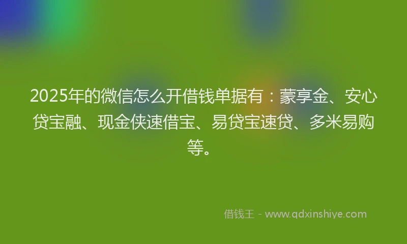 2025年的微信怎么开借钱单据有：蒙享金、安心贷宝融、现金侠速借宝、易贷宝速贷、多米易购等。