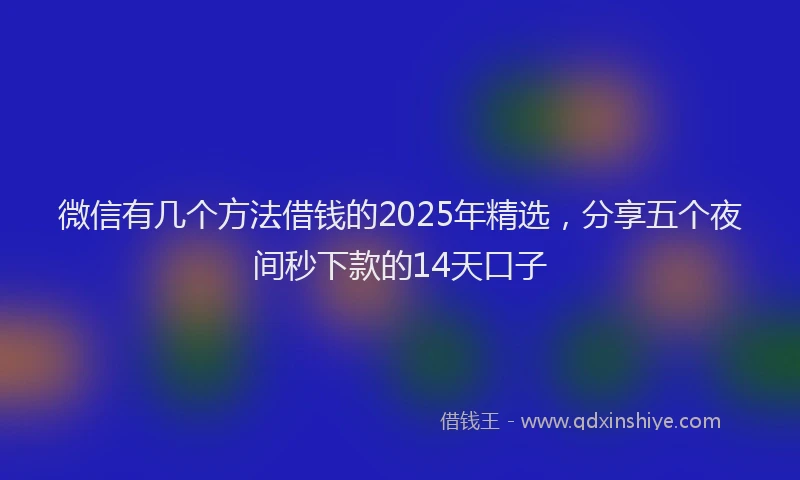 微信有几个方法借钱的2025年精选，分享五个夜间秒下款的14天口子