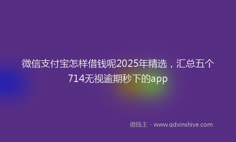 微信支付宝怎样借钱呢2025年精选，汇总五个714无视逾期秒下的app