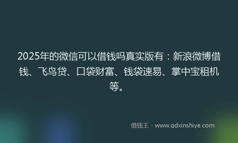 2025年的微信可以借钱吗真实版有：新浪微博借钱、飞鸟贷、口袋财富、钱袋速易、掌中宝租机等。