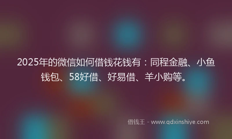 2025年的微信如何借钱花钱有：同程金融、小鱼钱包、58好借、好易借、羊小购等。