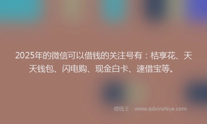 2025年的微信可以借钱的关注号有：桔享花、天天钱包、闪电购、现金白卡、速借宝等。
