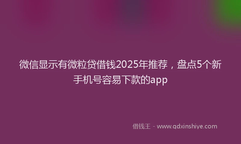 微信显示有微粒贷借钱2025年推荐，盘点5个新手机号容易下款的app