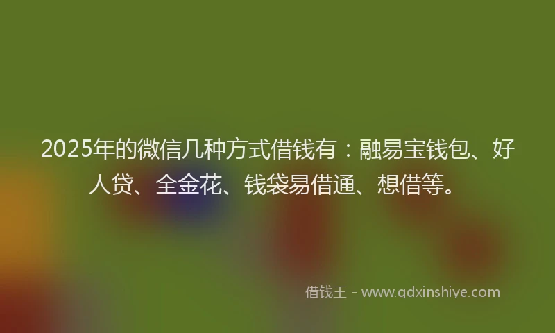 2025年的微信几种方式借钱有：融易宝钱包、好人贷、全金花、钱袋易借通、想借等。