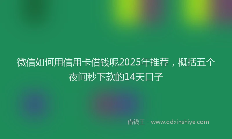 微信如何用信用卡借钱呢2025年推荐，概括五个夜间秒下款的14天口子
