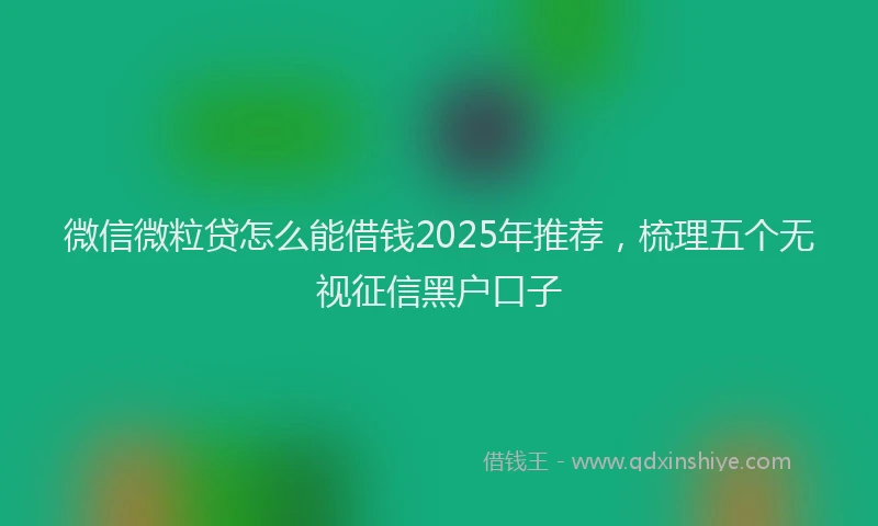 微信微粒贷怎么能借钱2025年推荐，梳理五个无视征信黑户口子