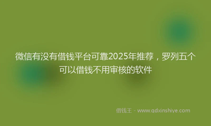 微信有没有借钱平台可靠2025年推荐，罗列五个可以借钱不用审核的软件