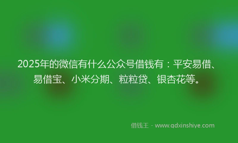 2025年的微信有什么公众号借钱有：平安易借、易借宝、小米分期、粒粒贷、银杏花等。