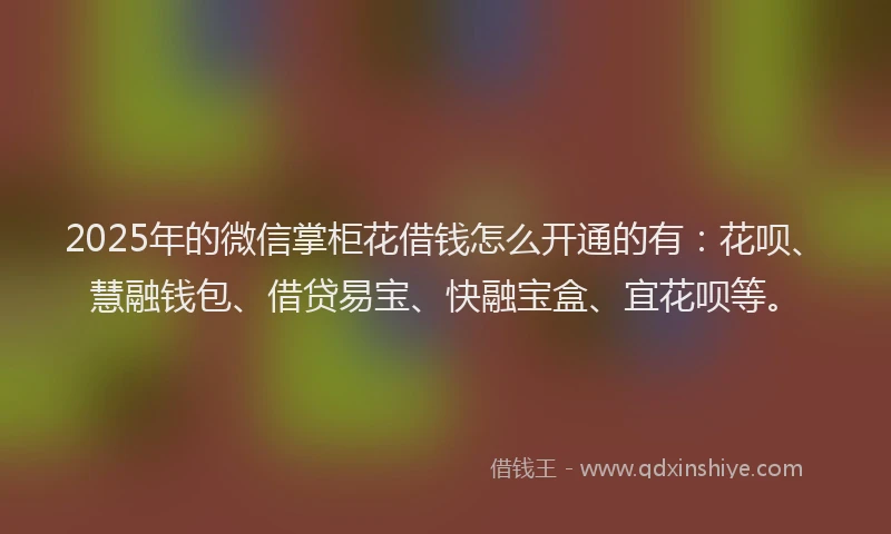 2025年的微信掌柜花借钱怎么开通的有：花呗、慧融钱包、借贷易宝、快融宝盒、宜花呗等。